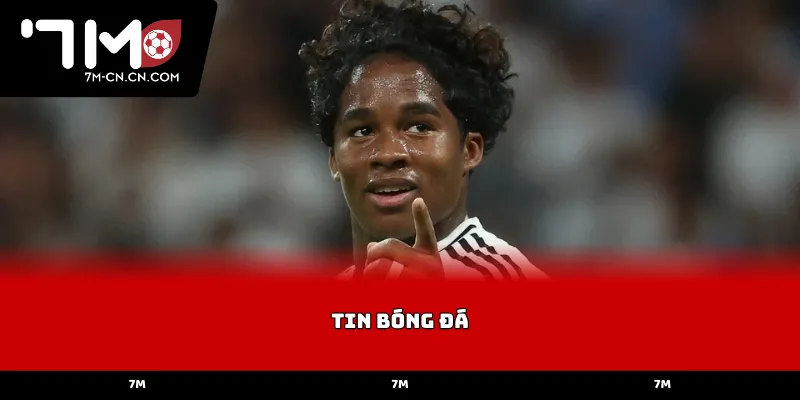 Tầm quan trọng của việc cập nhật tin bóng đá